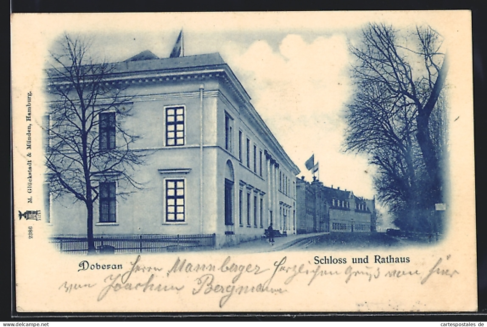 AK Doberan, Schloss Und Rathaus  - Bad Doberan