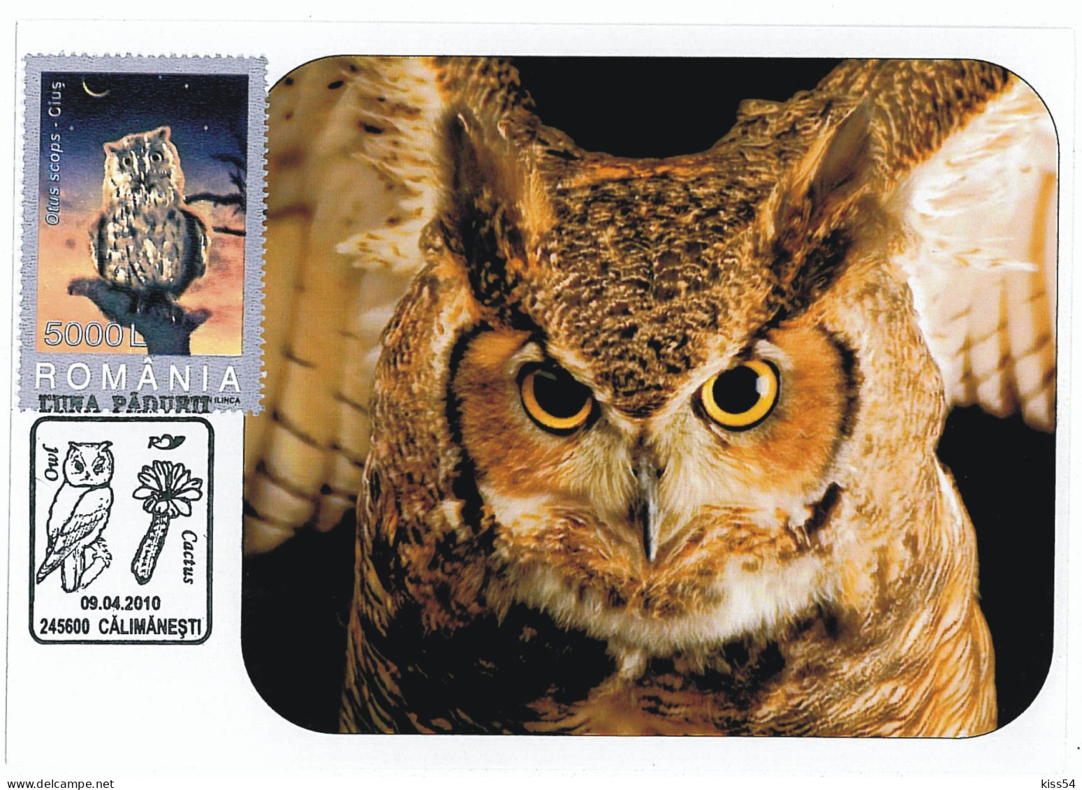 MAX 28 - 214 OWL, Romania - Maximum Card - 2010 - Maximum Cards & Covers