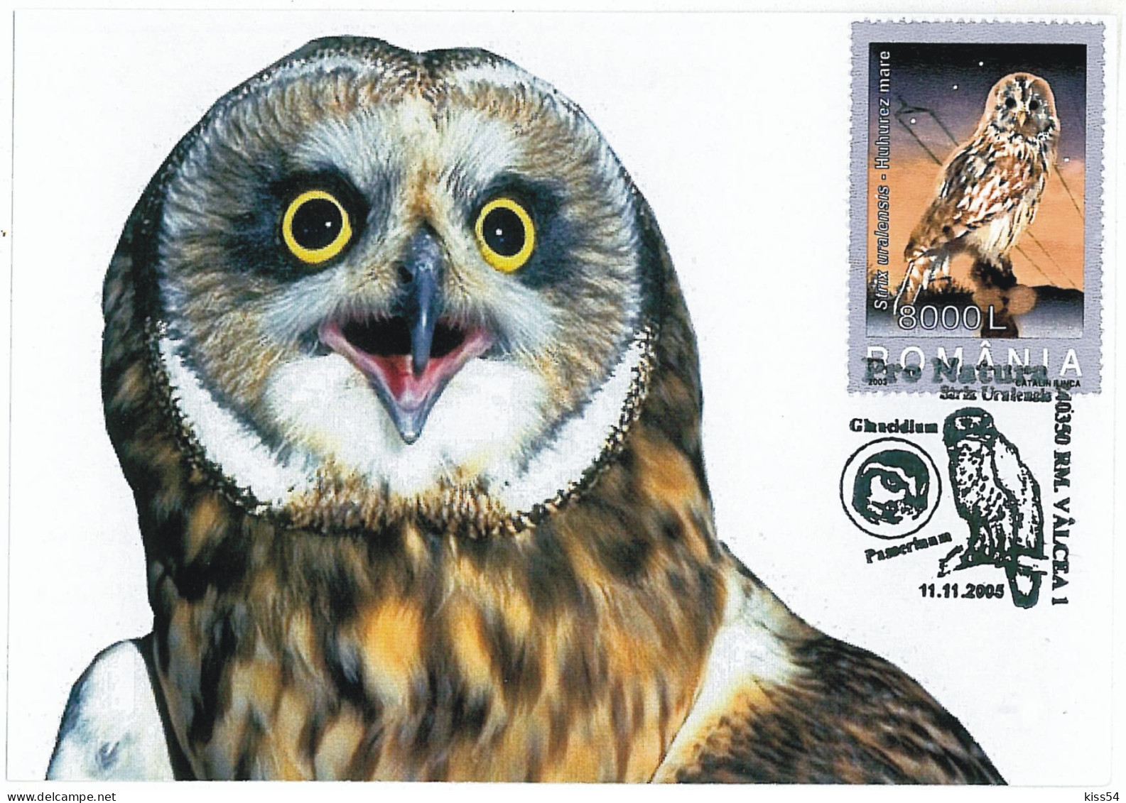 MAX 28 - 109 OWL, Romania - Maximum Card - 2005 - Maximum Cards & Covers