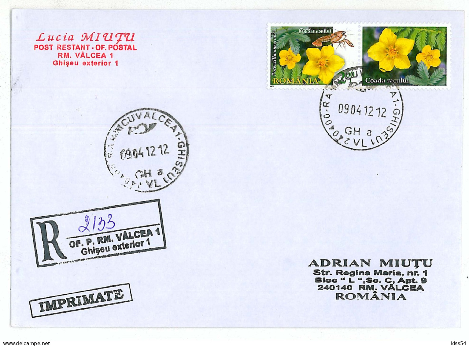 NCP 25 - 2133-a Flowers And CANCER, Romania - Registered, Stamp With Vignette - 2012 - Lettres & Documents