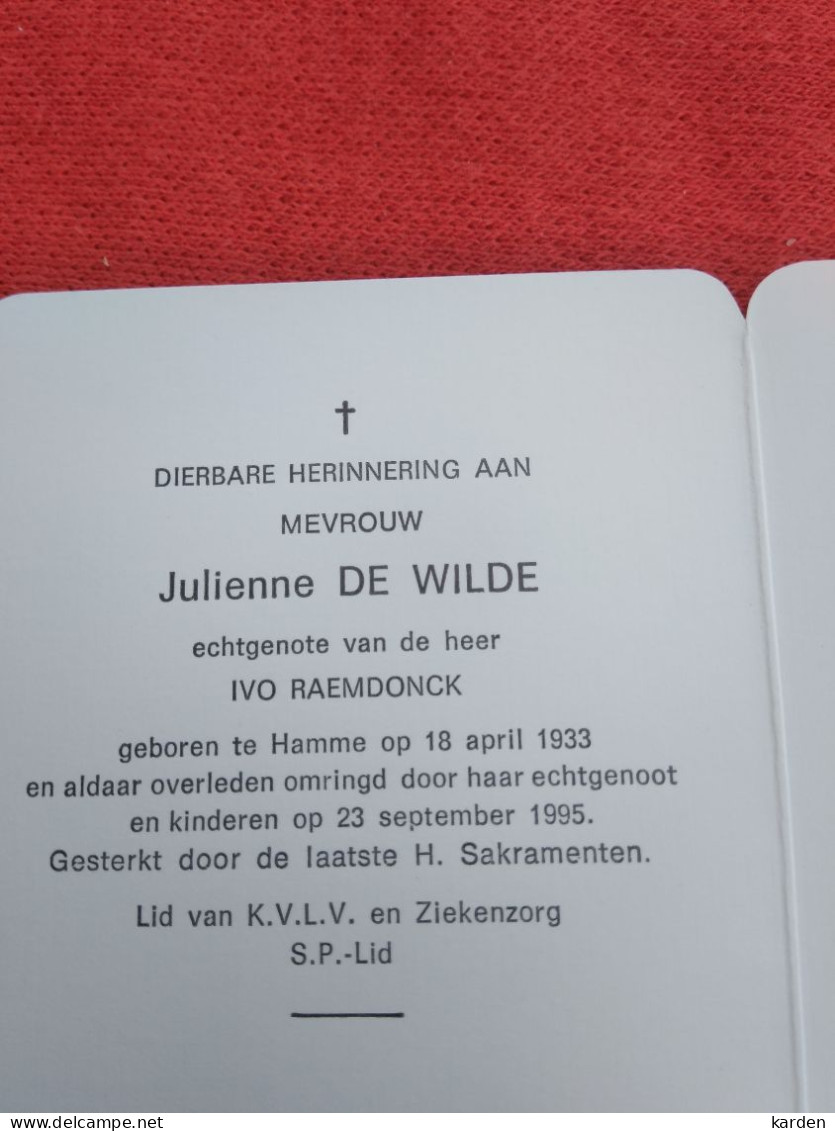 Doodsprentje Julienne De Wilde / Hamme 18/4/1933 - 23/9/1995 ( Ivo Raemdonck ) - Religion & Esotérisme