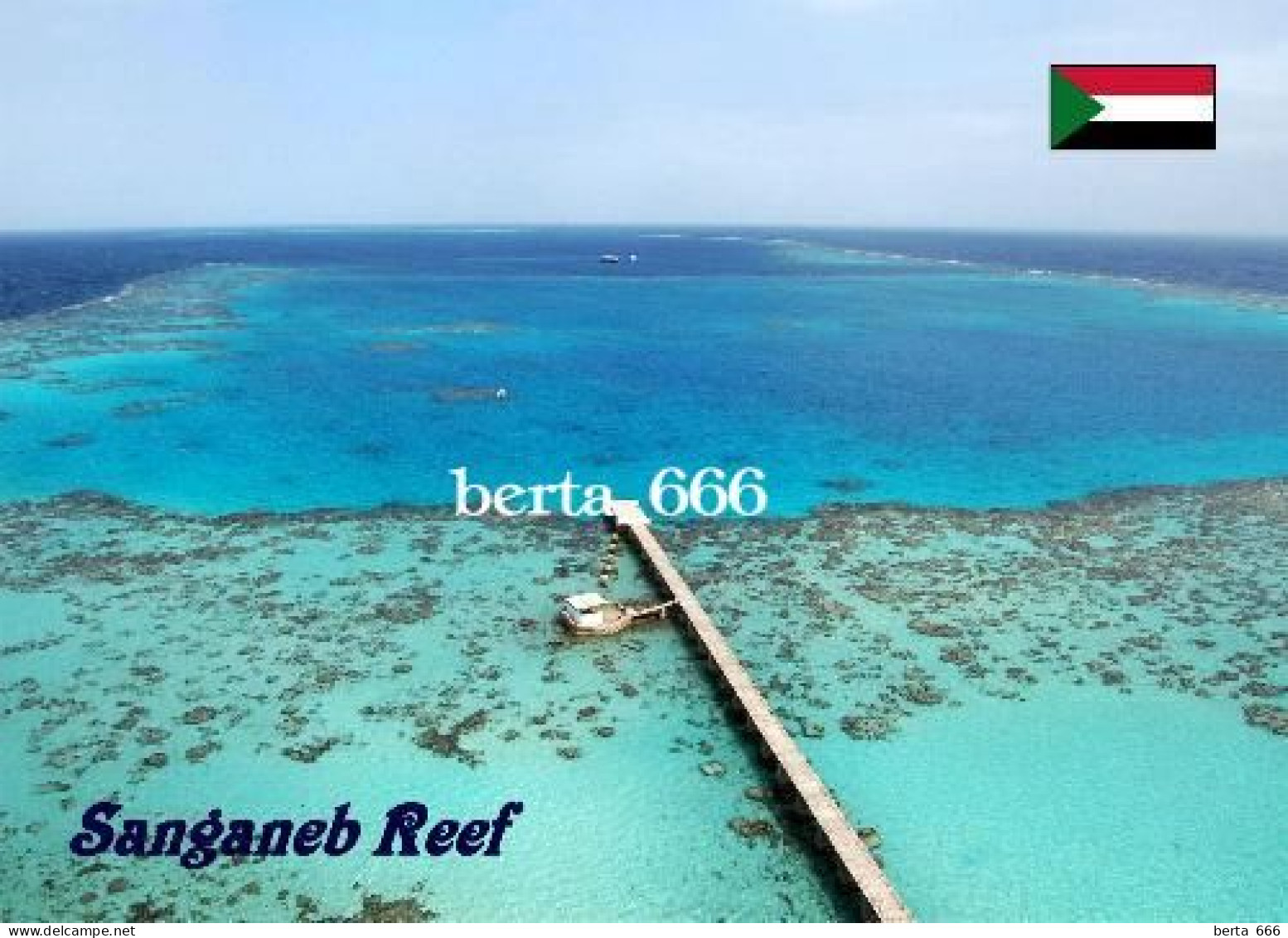 Sudan Sanganeb Reef UNESCO New Postcard - Sudán
