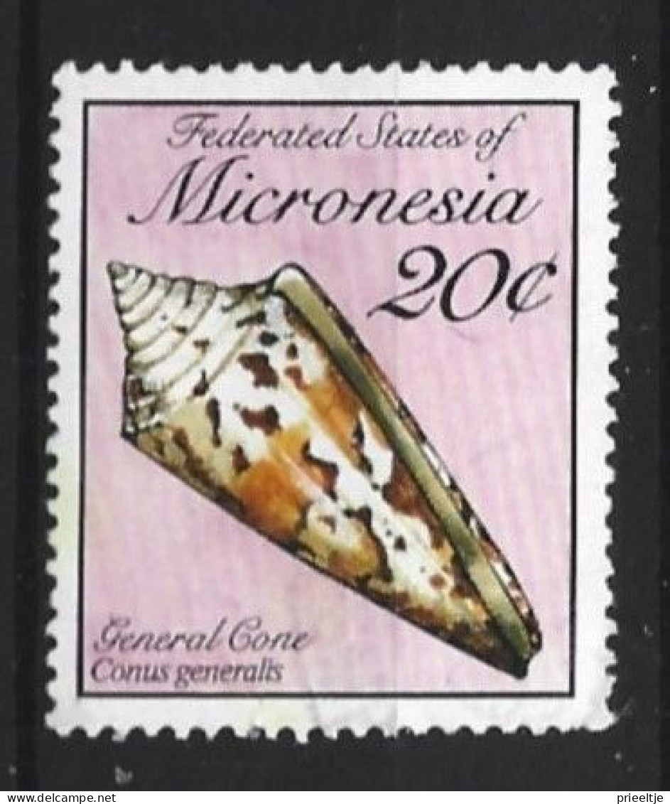 Micronesie 1989 Shell Y.T. 104  (0) - Micronésie