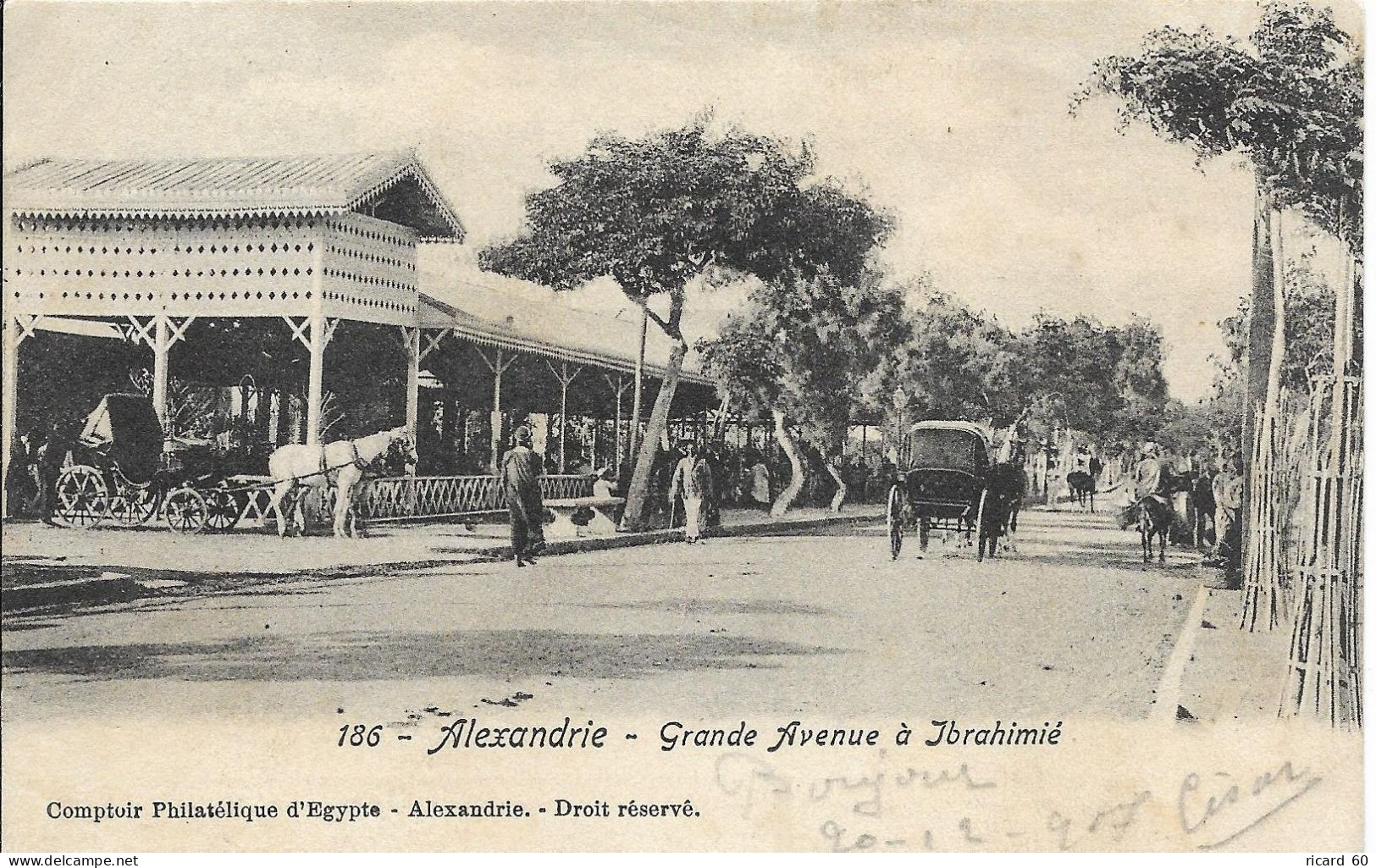 Cpa Alexandrie, Grande Avenue à Ibrahimié, Cheval - Alexandrië
