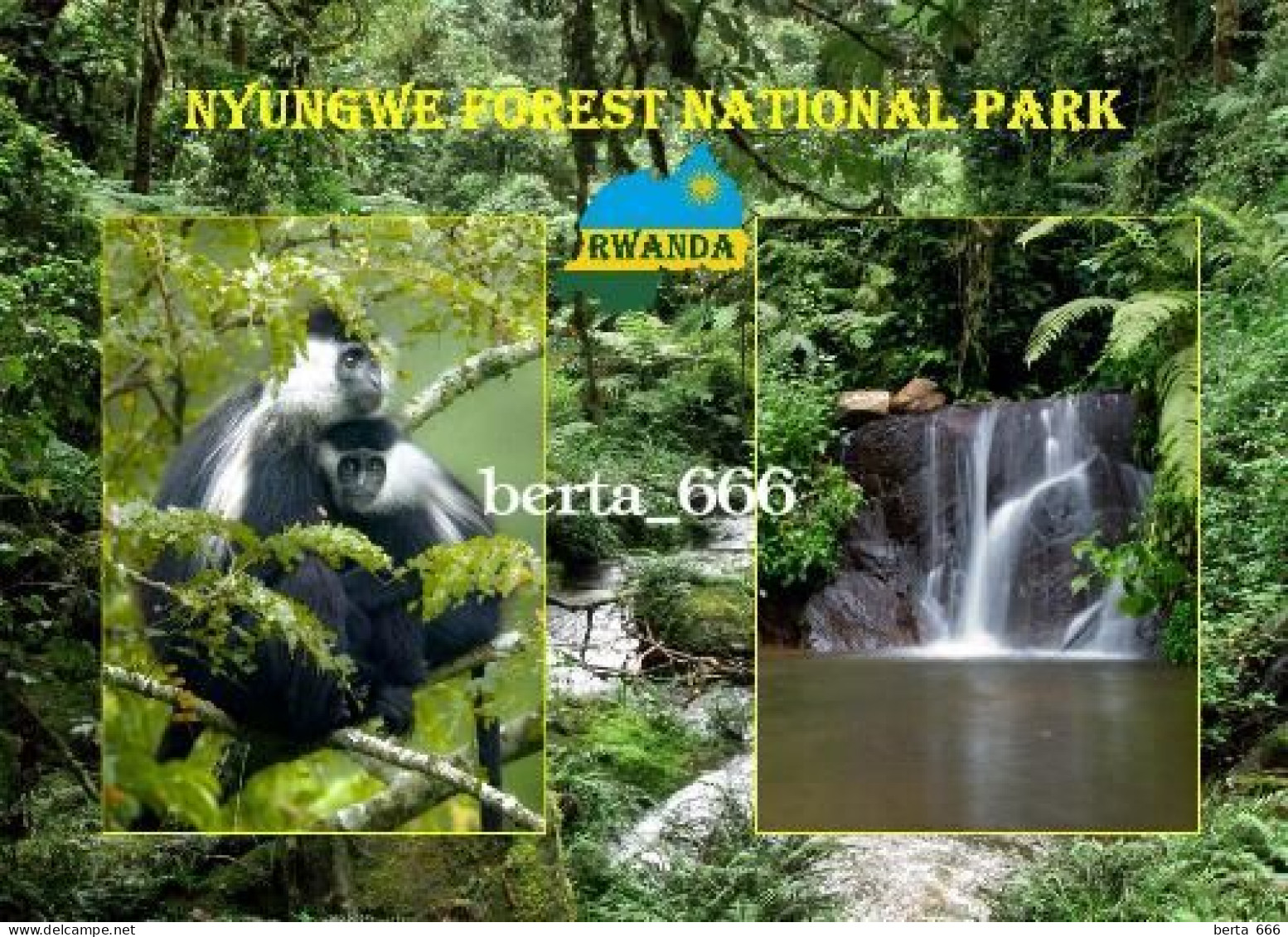 Rwanda Nyungwe National Park New Postcard - Ruanda