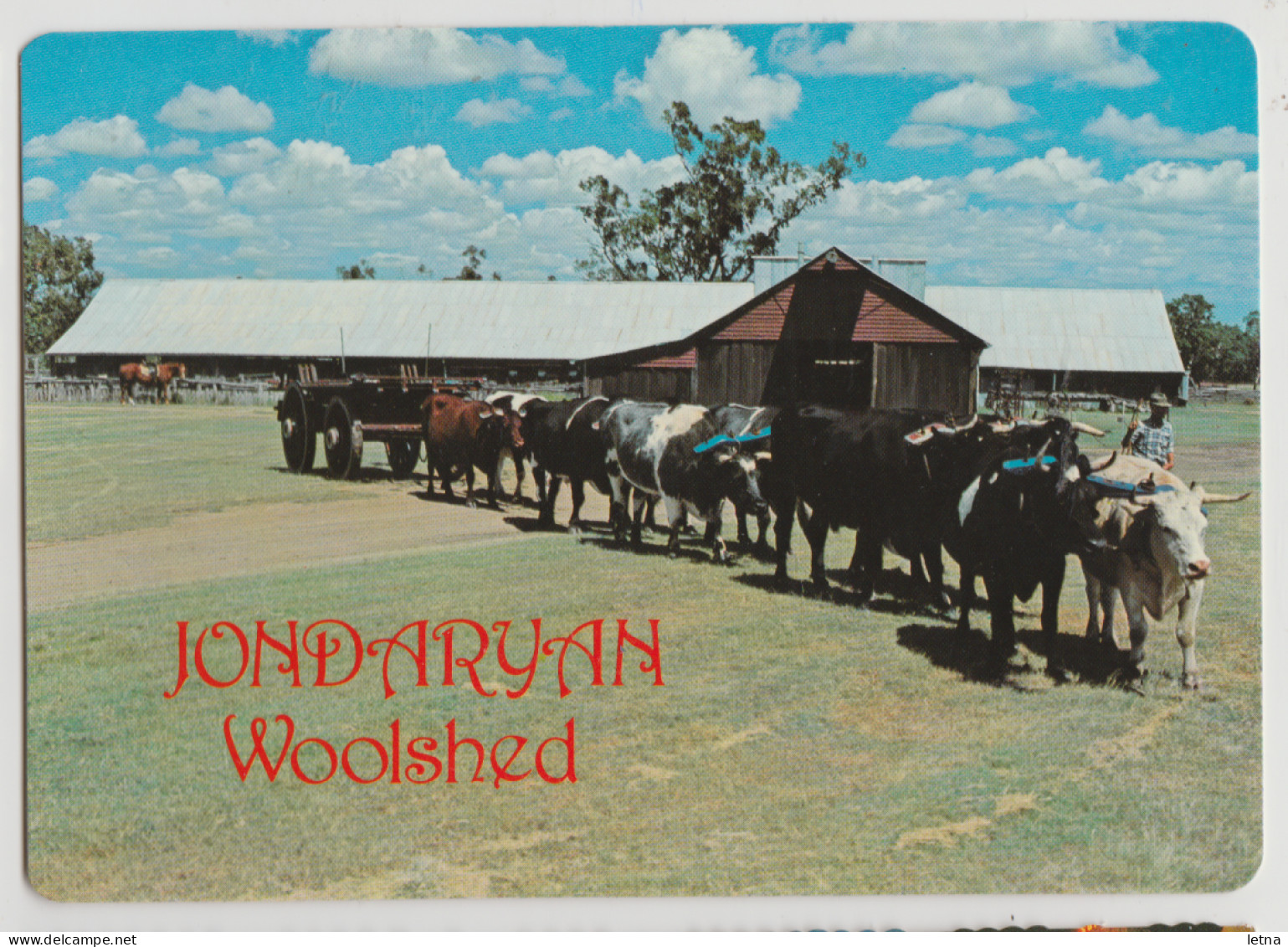 Australia QUEENSLAND QLD Cattle Woolshed JONDARYAN Darling Downs Murray Views W7C Postcard C1980s - Towoomba / Darling Downs