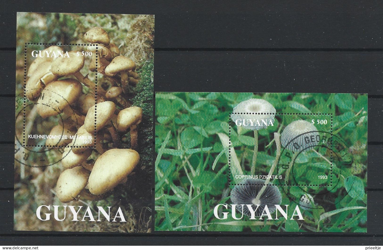 Guyana 1993 Mushrooms In 5 Blocks  (0) - Guyana (1966-...)