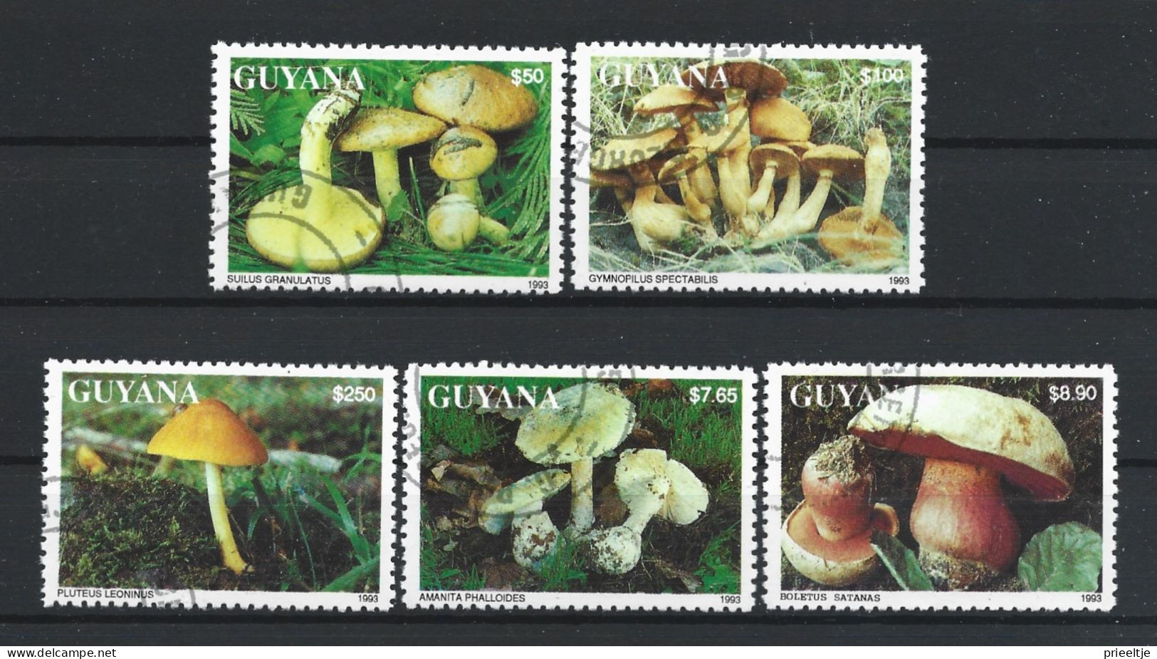 Guyana 1993 Mushrooms   (0) - Guyana (1966-...)