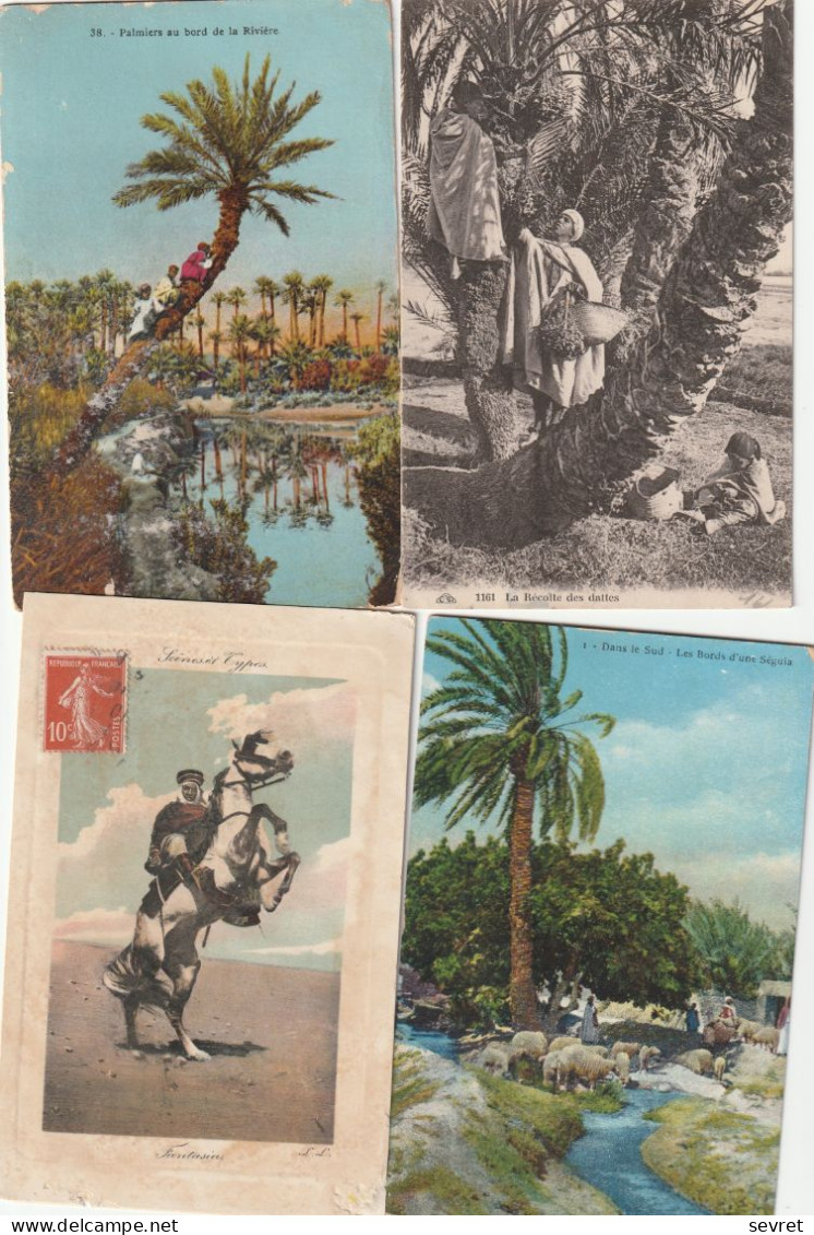 Lot De 37 Cartes D' ALGERIE  Dont 17   SCENES ET TYPES - Escenas & Tipos