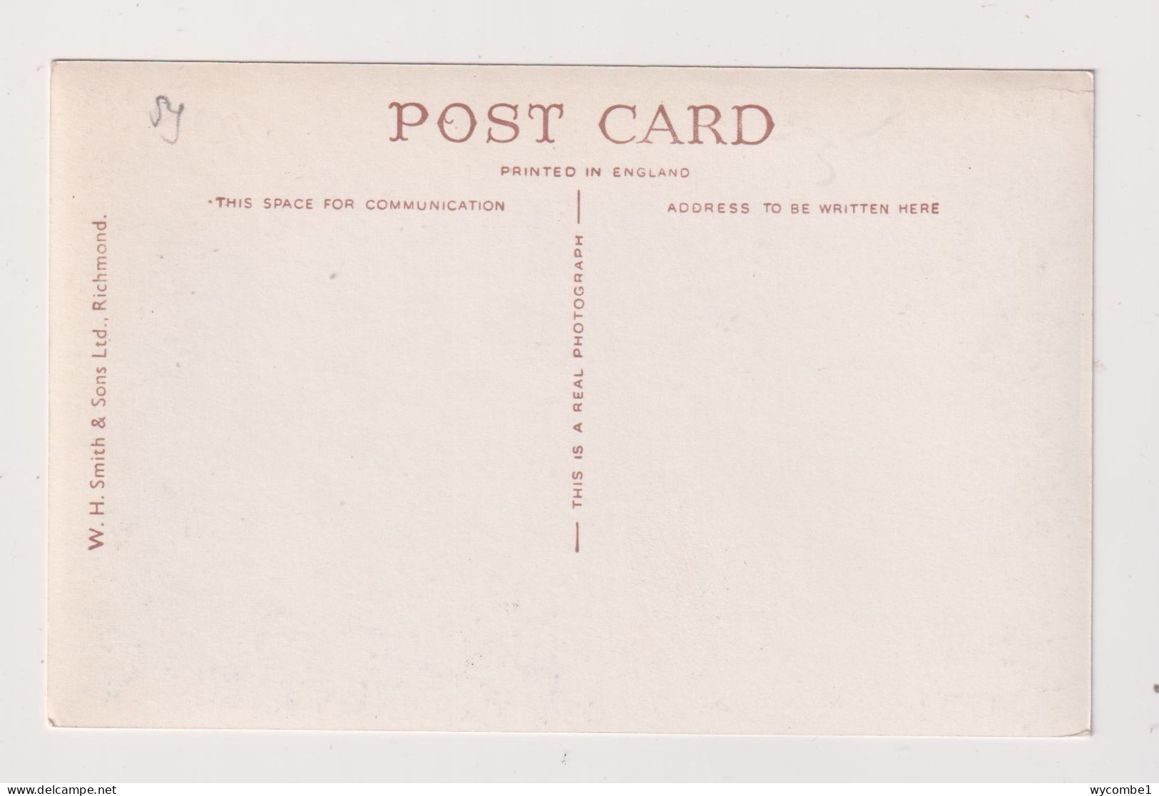 ENGLAND - Richmond Park Unused Vintage Postcard - Londen - Buitenwijken