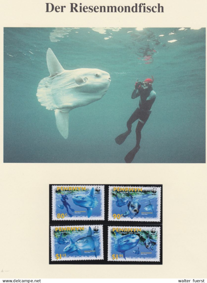 OCEAN SUNFISH, Series UM, WWF, PENRHYN (Northern Cook Islands), Issued 2010 - Fische