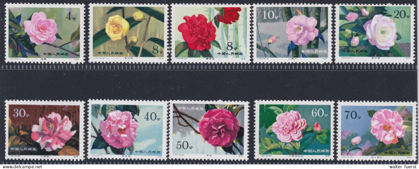 CHINA 1979, "Camellias, Cultivars From Yunnan", Series T.37, UM - Collections, Lots & Series