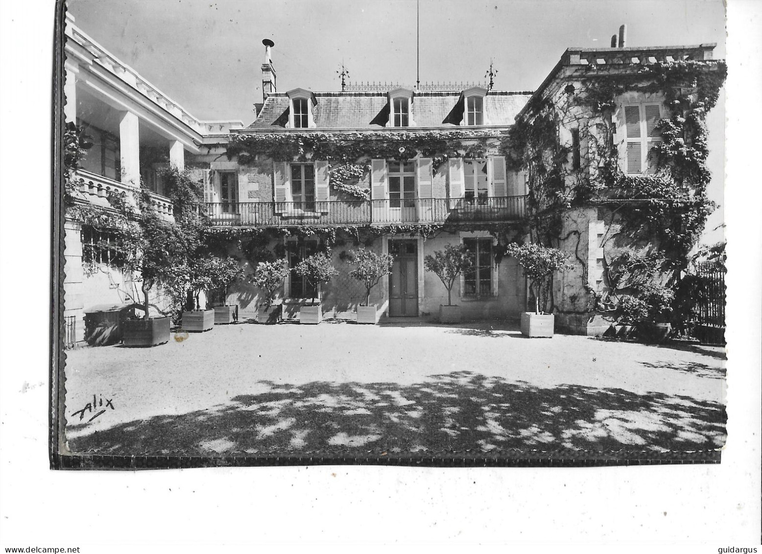 16- SAINT-YRIEX-sur-CHARENTE- ( Angouleme )- Une Vue Du " DOMAINE Du CLOS DE  L'HOUMELET "-La Cour - Otros & Sin Clasificación