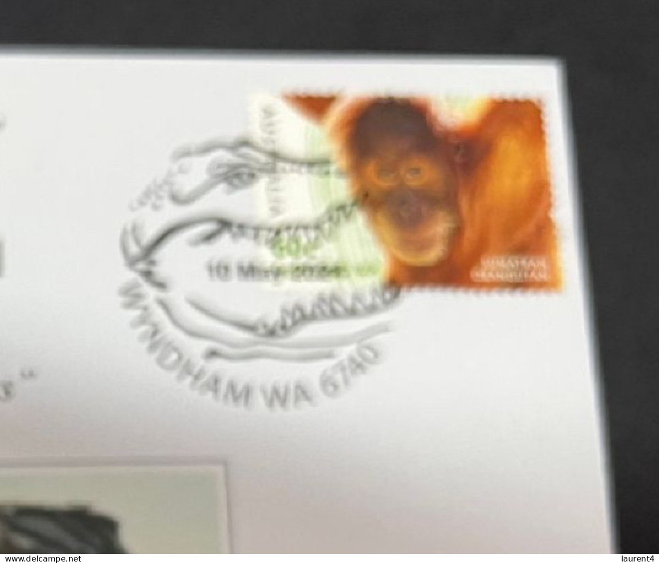 6-5-2024 (4 Z 17) Kingdom Of The Planet Of The Apes (new Movie) With Oranutan Stamp - Gorilas