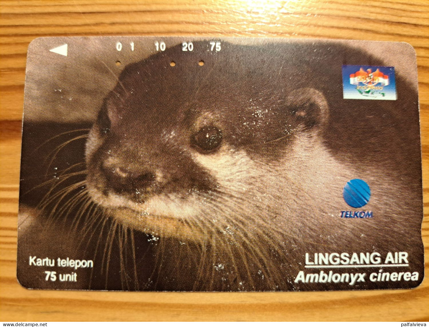 Phonecard Indonesia - Otter - Indonesien