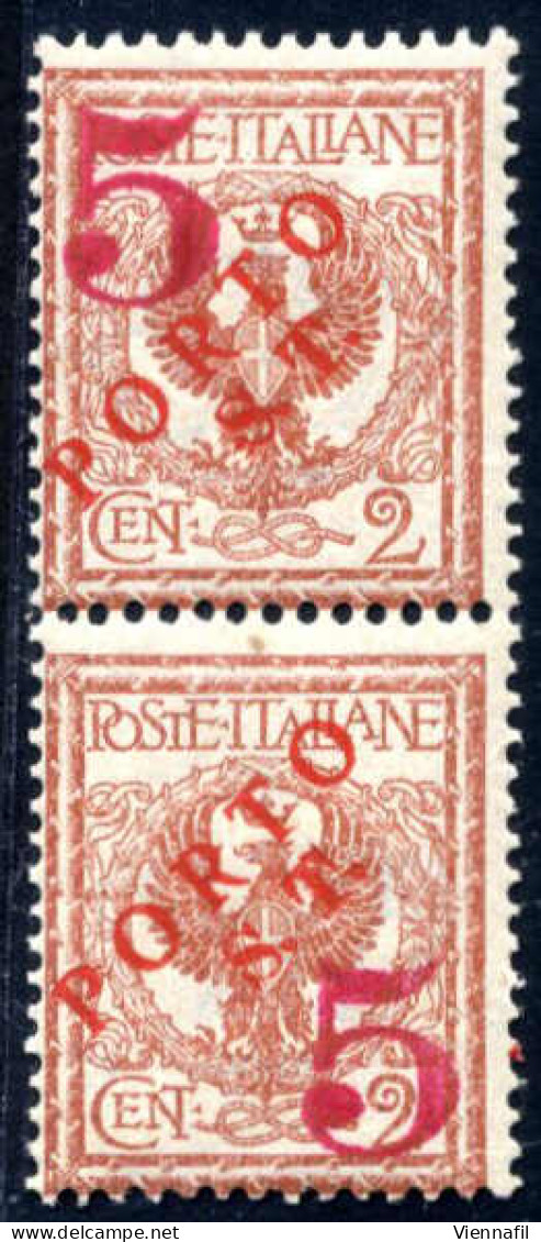 ** 1919, Bolzano 3, Segnatasse Provvisori, 2 Cent. Rosso Bruno Con Soprastampa A Mano Obliqua "PORTO S.T." E Cifra "5" I - Trente