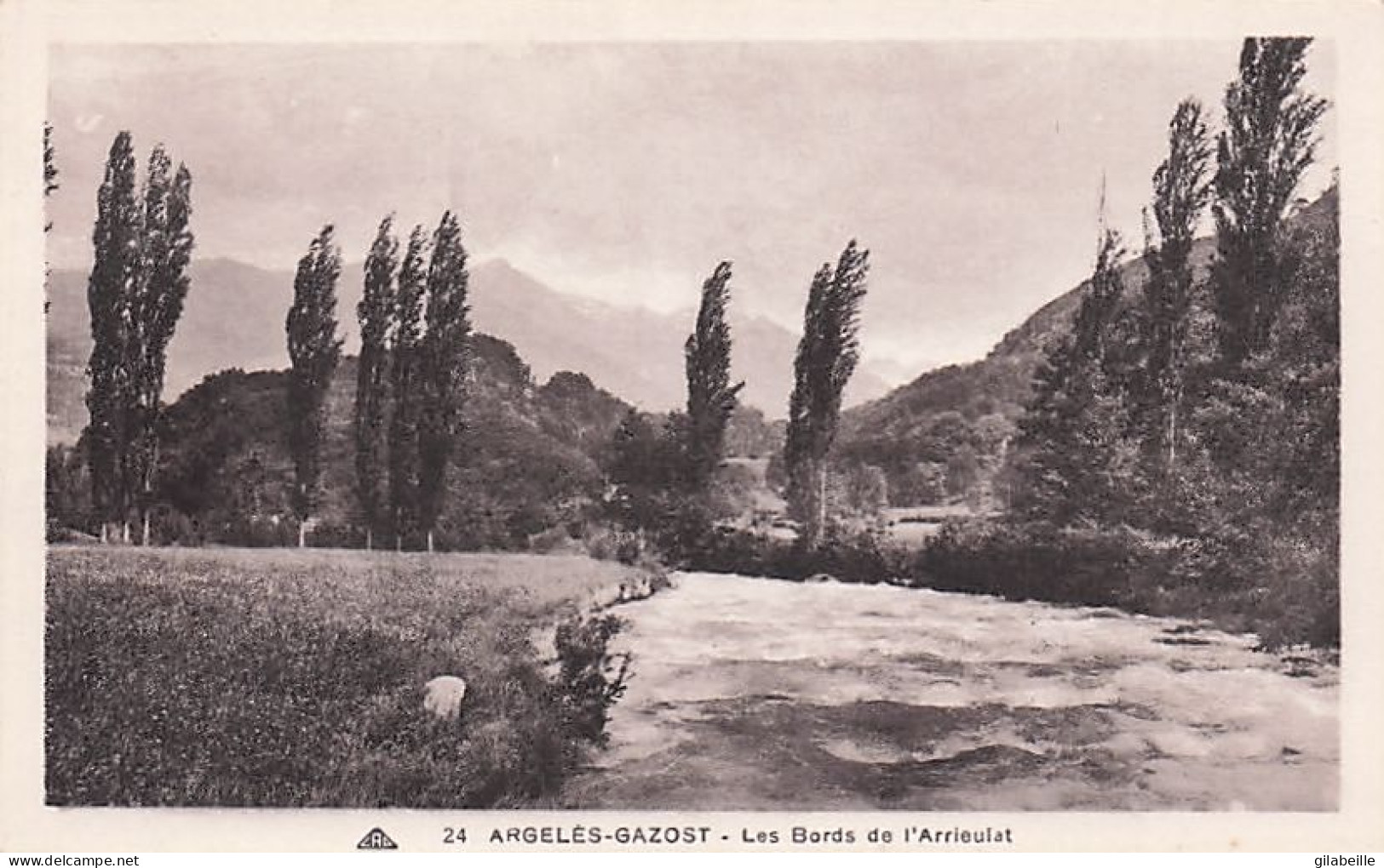 65 - Hautes Pyrenées - ARGELES GAZOST - Les Bords De L Arrieulat - Argeles Gazost