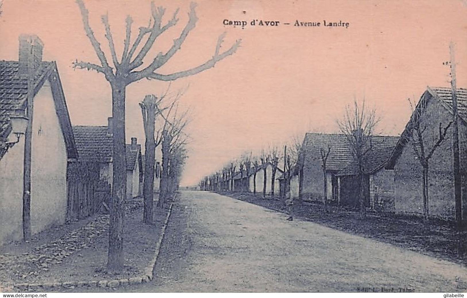 18 - Cher - Camp D'AVOR - Avenue Landre - Avord