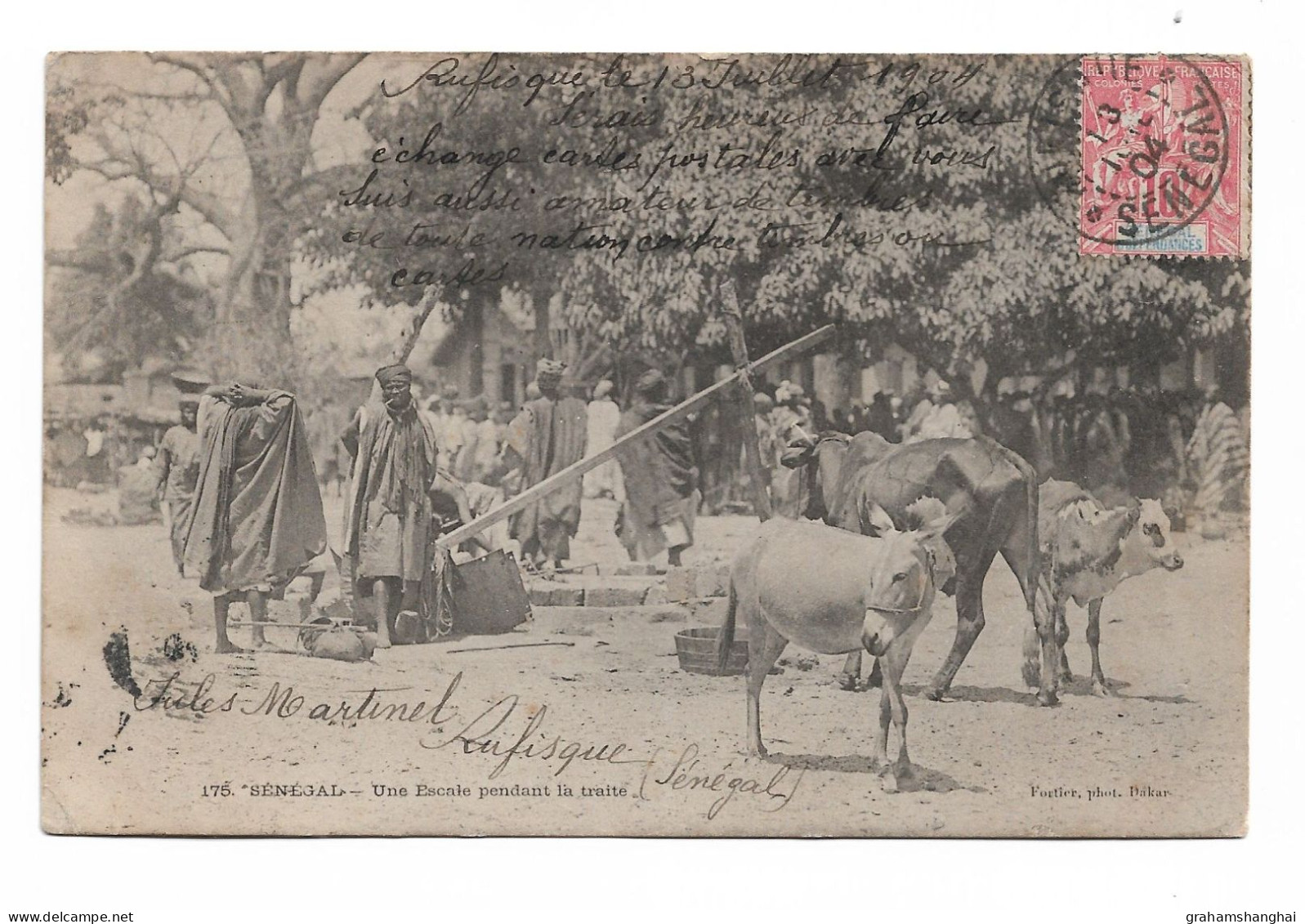 Postcard Senegal Escale Pendant La Traite Native People Animals Undivided Posted 1904 French Colonial Stamp - Senegal