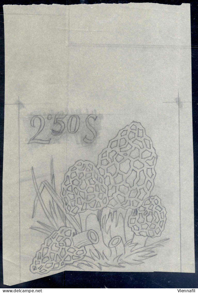 1960 Ca., Prof. Woyty-Wimmer, Drei Bleistift-Entwürfe Und Skizzen Zu Einer österreichischen Pilze-Marke, Alle Bilder Im  - Sonstige & Ohne Zuordnung