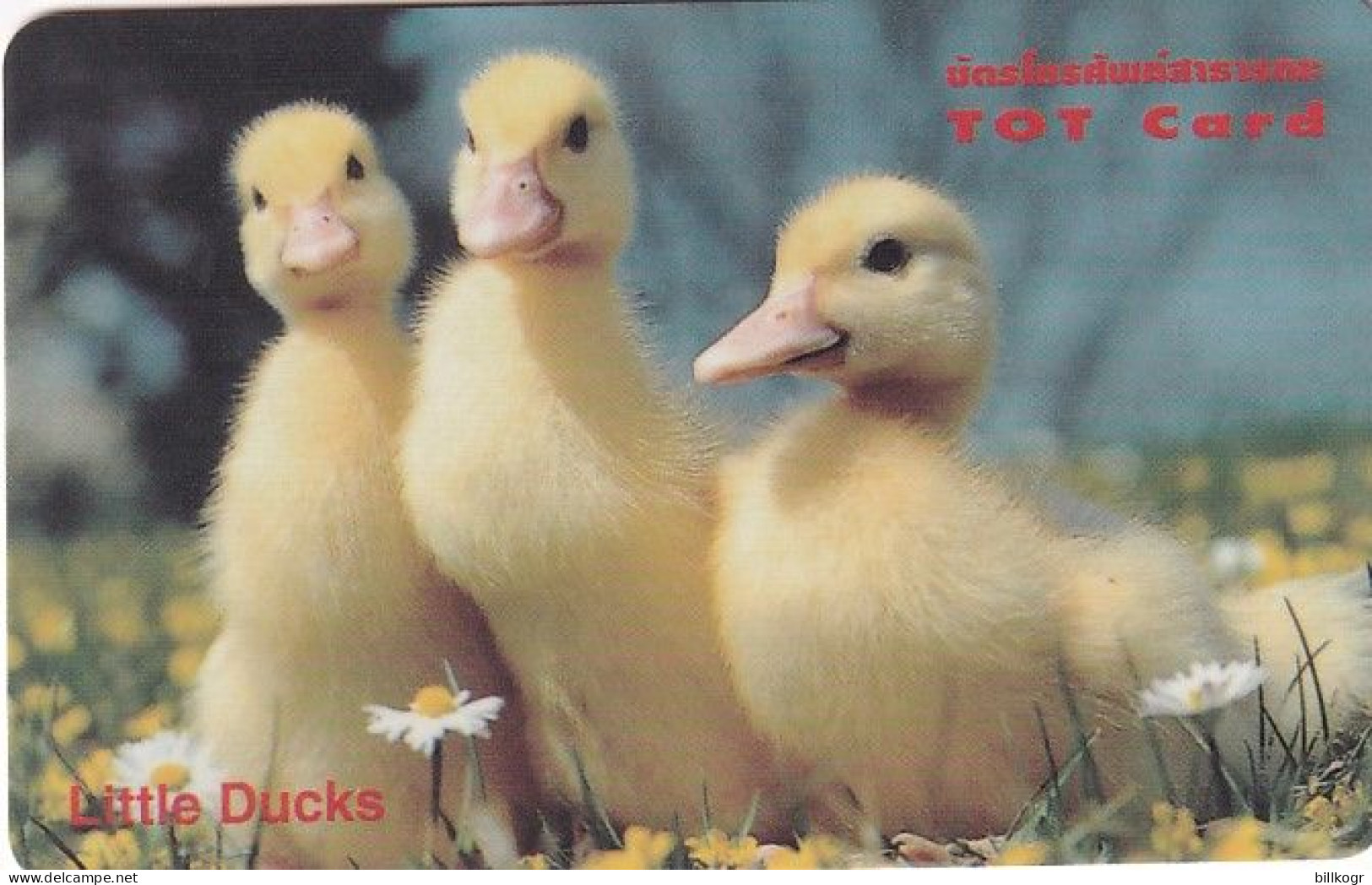 THAILAND(chip) - Little Ducks, TOT Telecard 100 Baht, Exp.date 06/05, Used - Tailandia