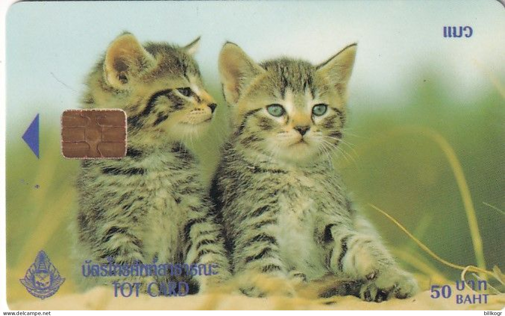 THAILAND - Cats, TOT Telecard 50 Baht, Exp.date 11/03, Used - Thaïlande