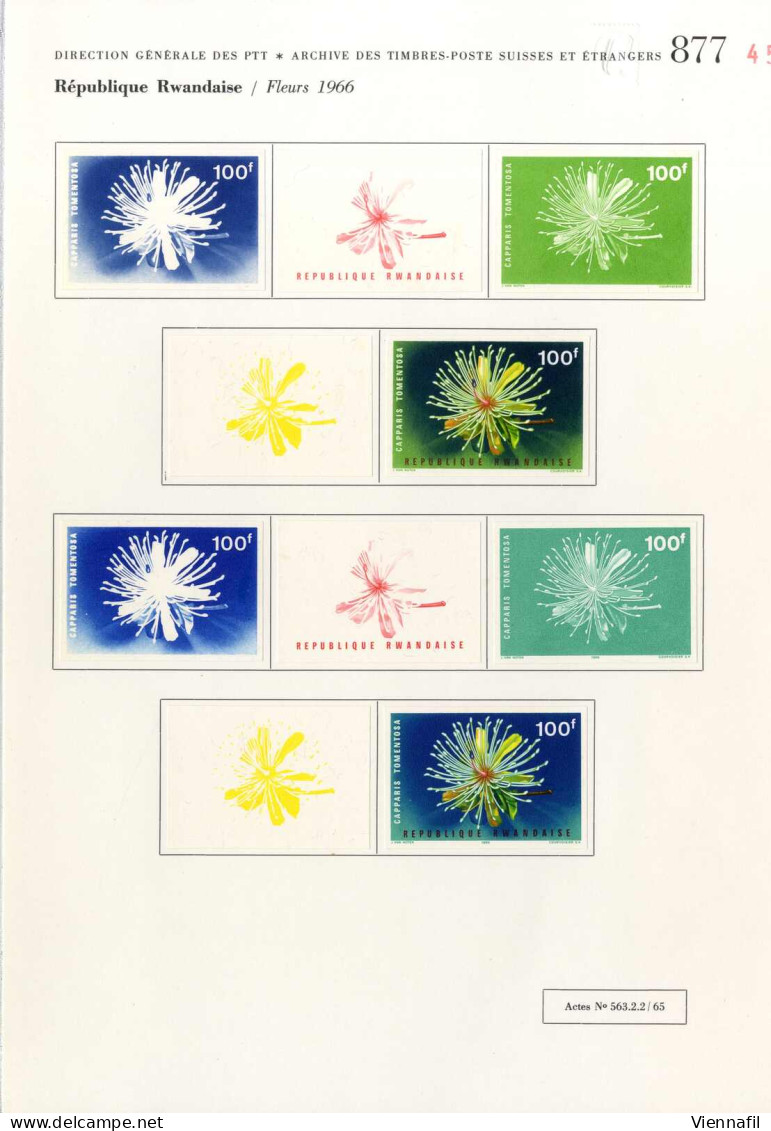 (*) RUANDA 1966, 69 Ungezähnte Probedrucke Der Ausgabe "Blumen" Aus Dem Courvoisier Archiv In Verschiedenen Farben Und D - Otros & Sin Clasificación