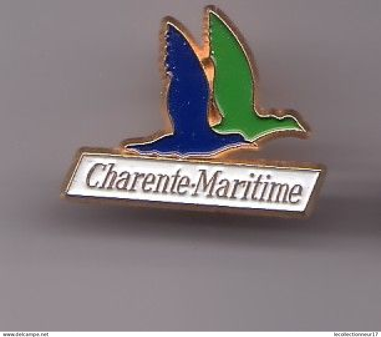 Pin's Mouettes De La Charente Maritime Dpt 17 Réf 483 - Villes