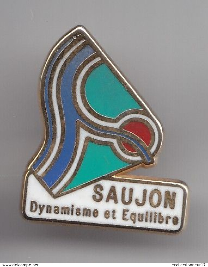 Pin's Dynamisme Et Equilibre Saujon En Charente Maritime Dpt 17  Réf 3602 - Villes