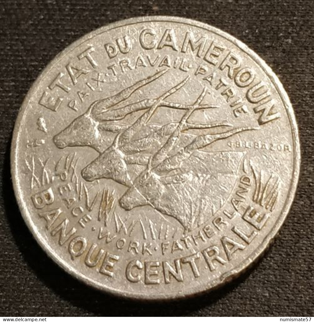 Pas Courant - CAMEROUN - 100 FRANCS 1967 - KM 14 - Cameroon