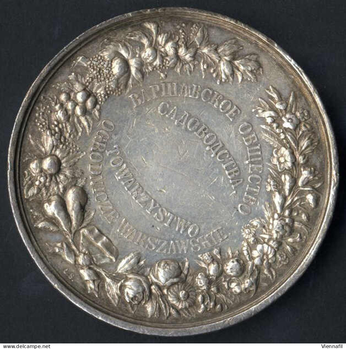 Medaille Der Warschauer Gartenbaugenossenschaft, Gartenbauausstellung Warschau 1895, Silbermedaille Von L. Steinman, Gep - Polonia