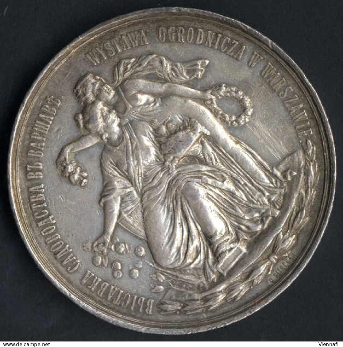 Medaille Der Warschauer Gartenbaugenossenschaft, Gartenbauausstellung Warschau 1895, Silbermedaille Von L. Steinman, Gep - Poland