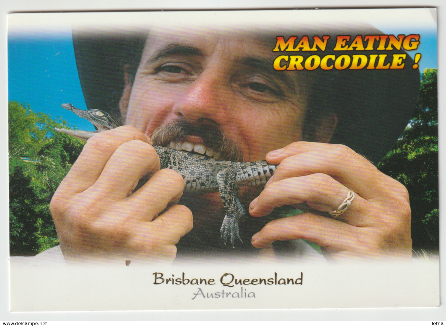 Australia QUEENSLAND QLD Man Eating CROCODILE Murray Views GEN688 Comical Postcard C2000s - Otros & Sin Clasificación