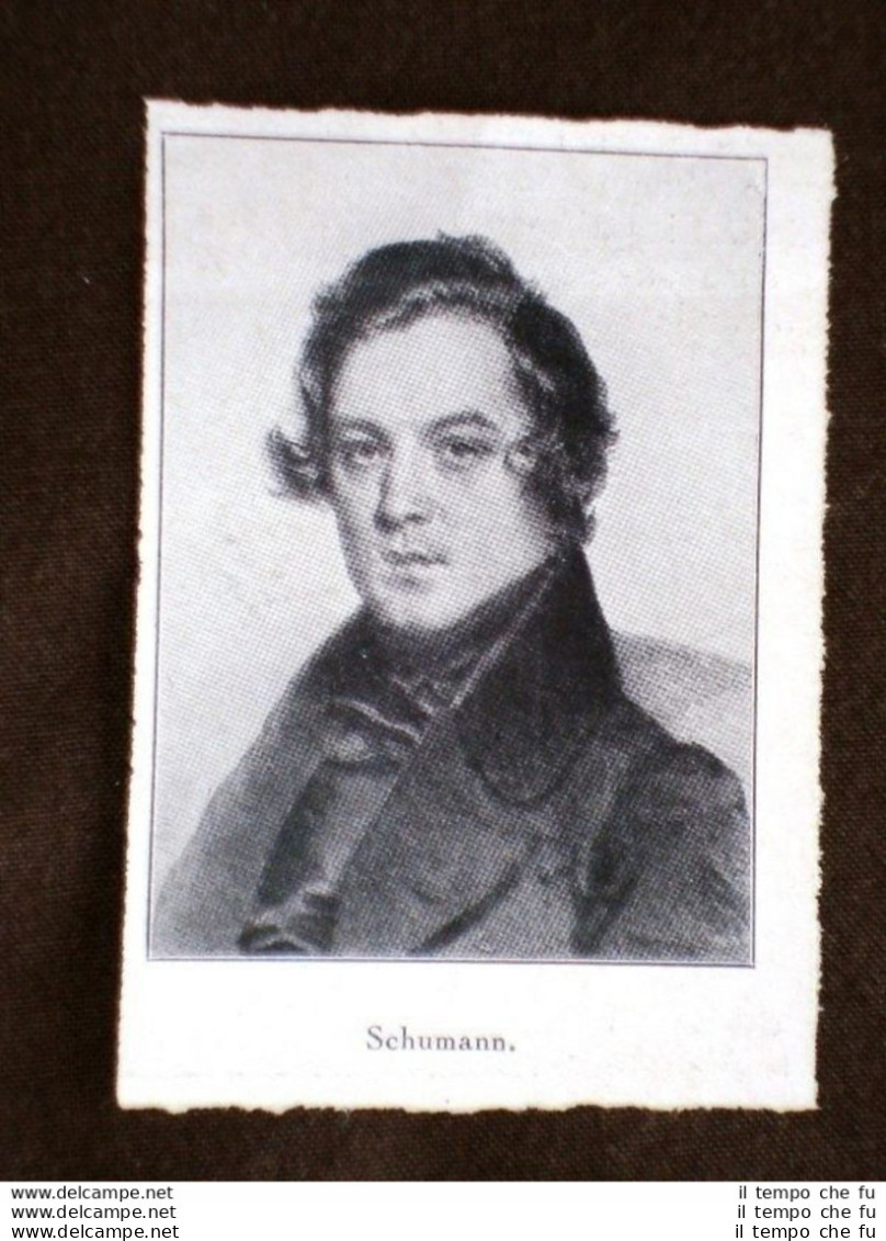 Compositore Robert Alexander Schumann Di Zwickau - Autres & Non Classés