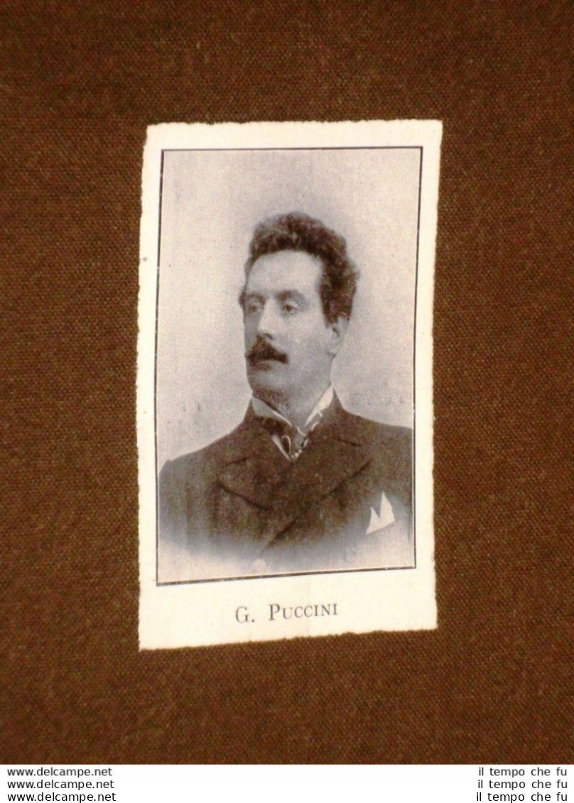 Il Maestro Giacomo Antonio Domenico Michele Secondo Maria Puccini Nel 1915 - Altri & Non Classificati