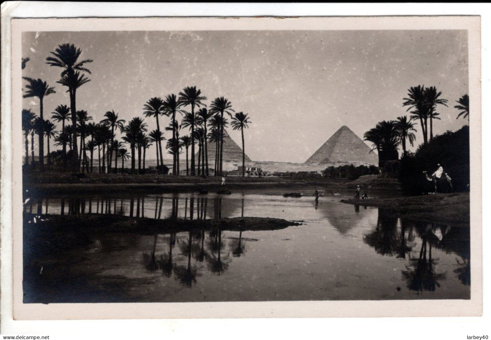 Photo Egypte - 2 Cartes Postales Ancienne - Piramidi