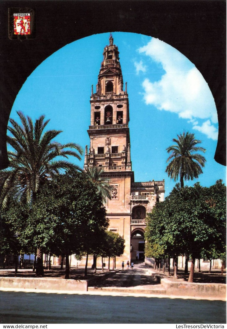 ESPAGNE - Cordoba - Cour Des "Naranjos" Avec Tour De La Cathédrale Et Porte Du Pardon - Carte Postale - Córdoba