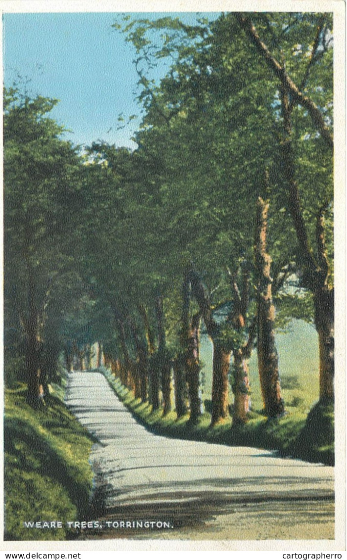 England Torrington Weare Trees Alley Road - Altri & Non Classificati