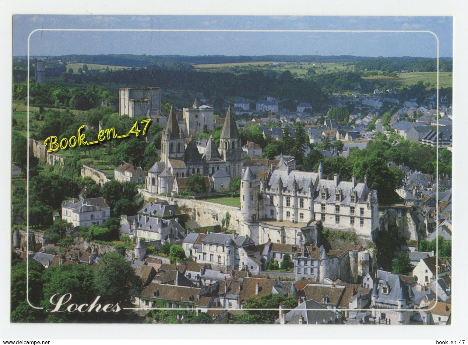 {91977} 37 Indre Et Loire Loches , Le Château Sur Un éperon Rocheux , L' Ancienne Collégiale Notre Dame - Loches