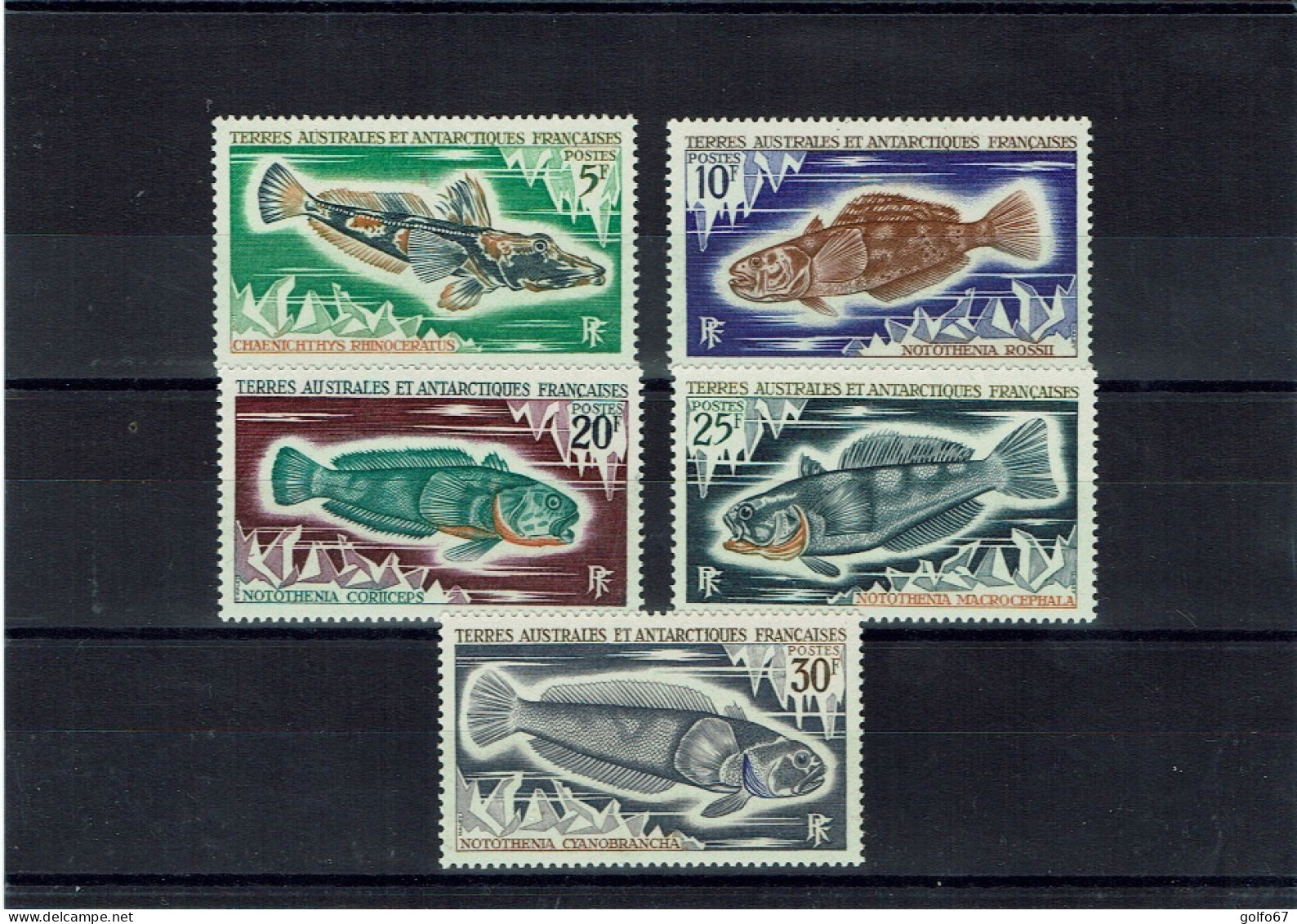 TAAF 1971 Y&T N° 34 à 38 NEUF** - Unused Stamps