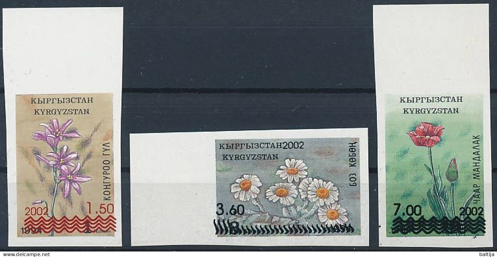 Mi 314-316 B ** MNH / Native Flora, Flowers, Imperf, Overprint, Gagea Salis, Chrysanthemum Leontopodium, Tulipa Greigii - Kyrgyzstan