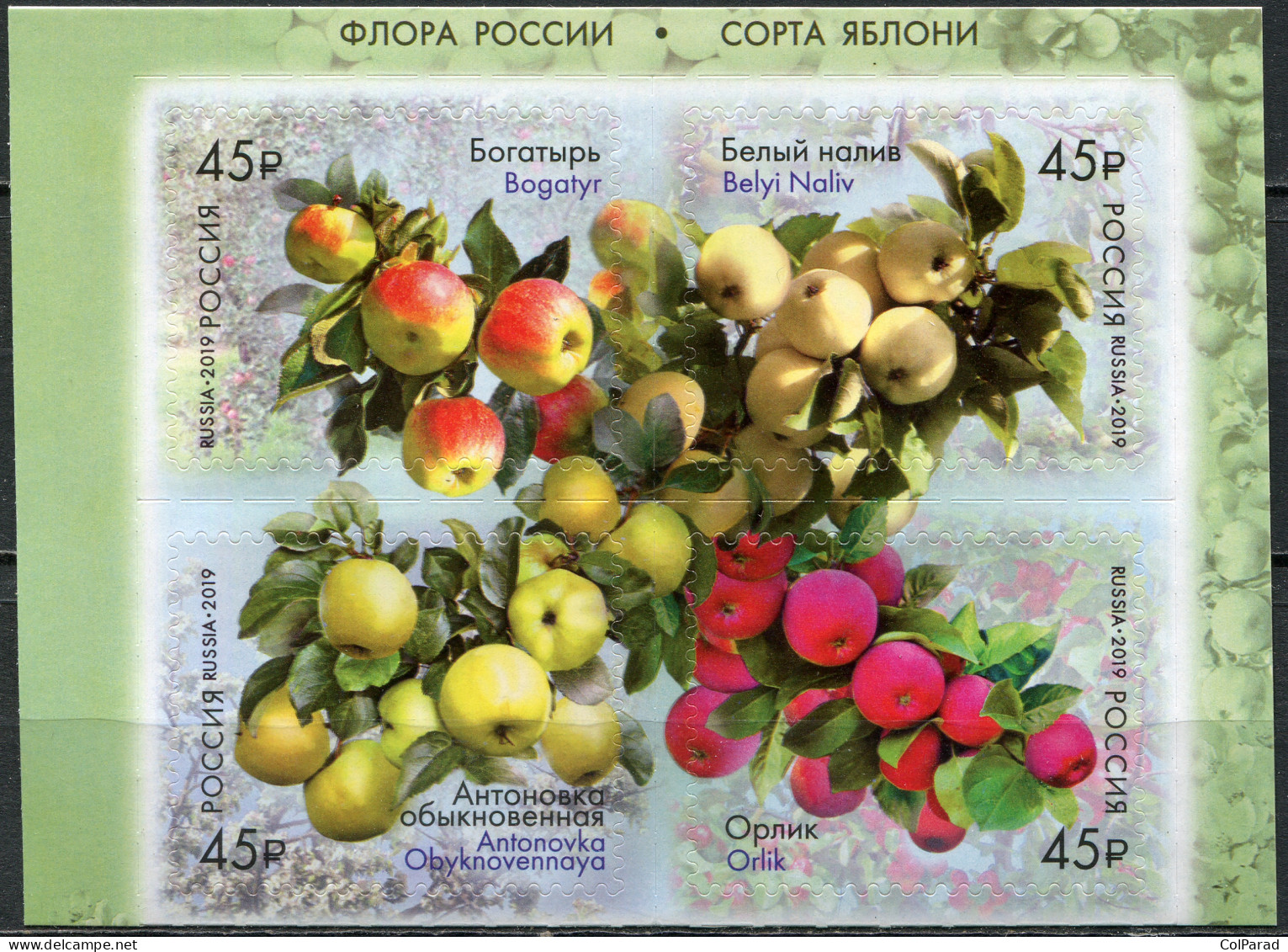 RUSSIA - 2019 - BLOCK OF 4 STAMPS MNH ** - Native Flora. Apple Varieties - Unused Stamps