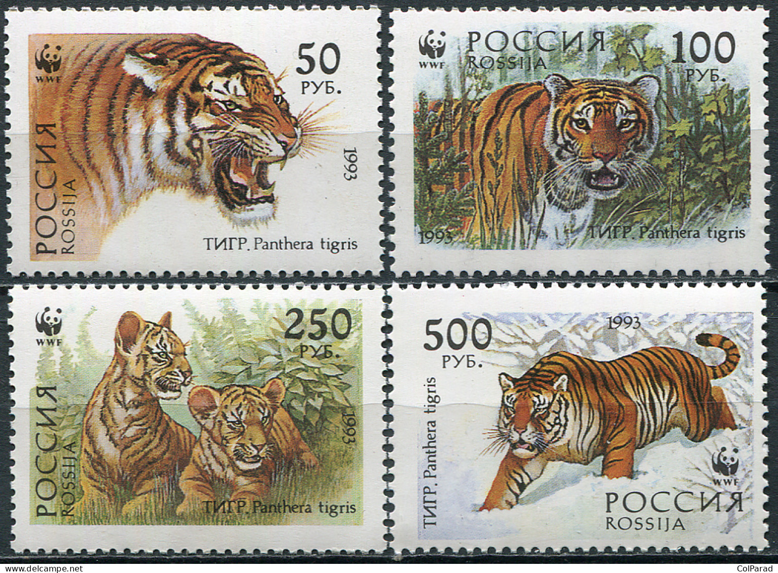 RUSSIA - 1993 - SET MNH ** - Siberian Tiger (Panthera Tigris Altaica) - Nuevos