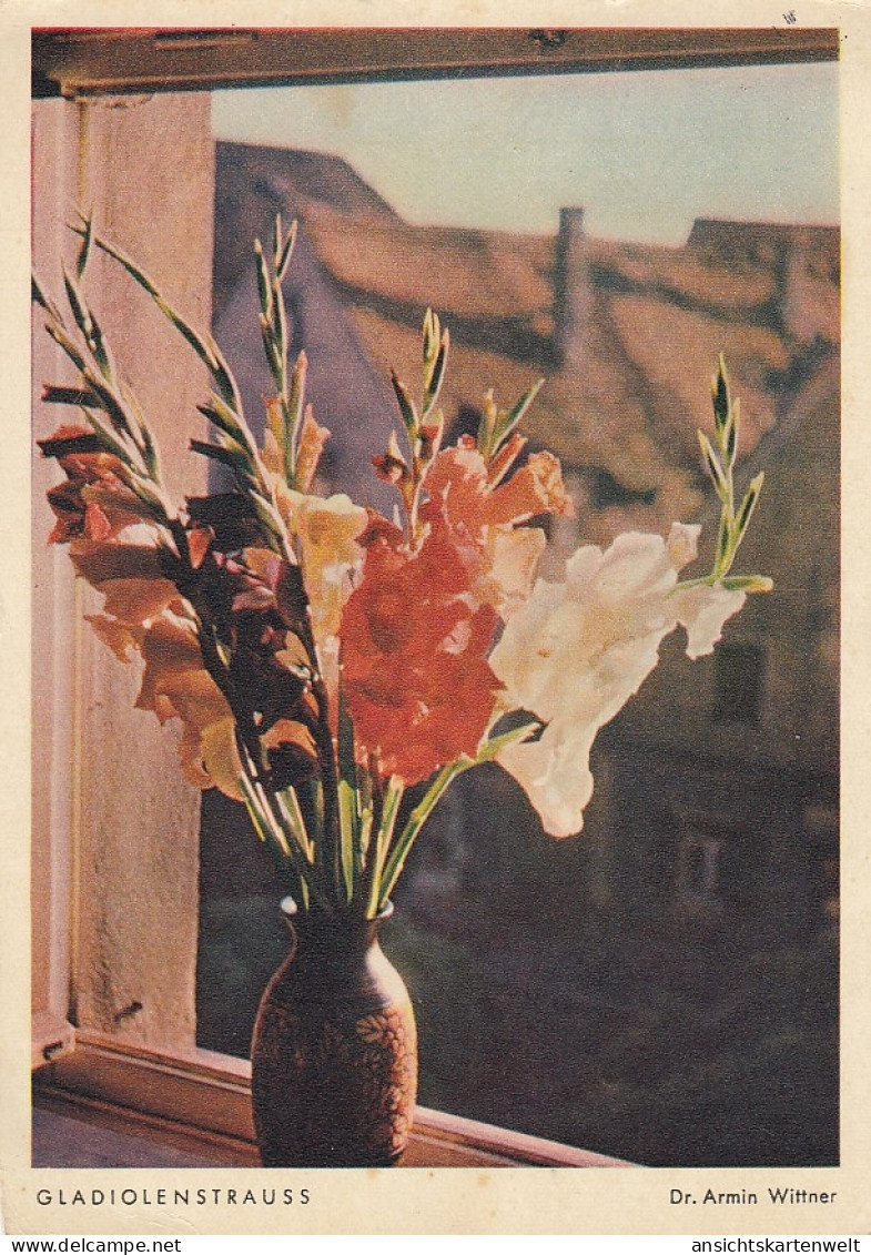 Dr.ARMIN WITTNER Gladiolenstrauß Gl1954 #D9695 - Otros & Sin Clasificación