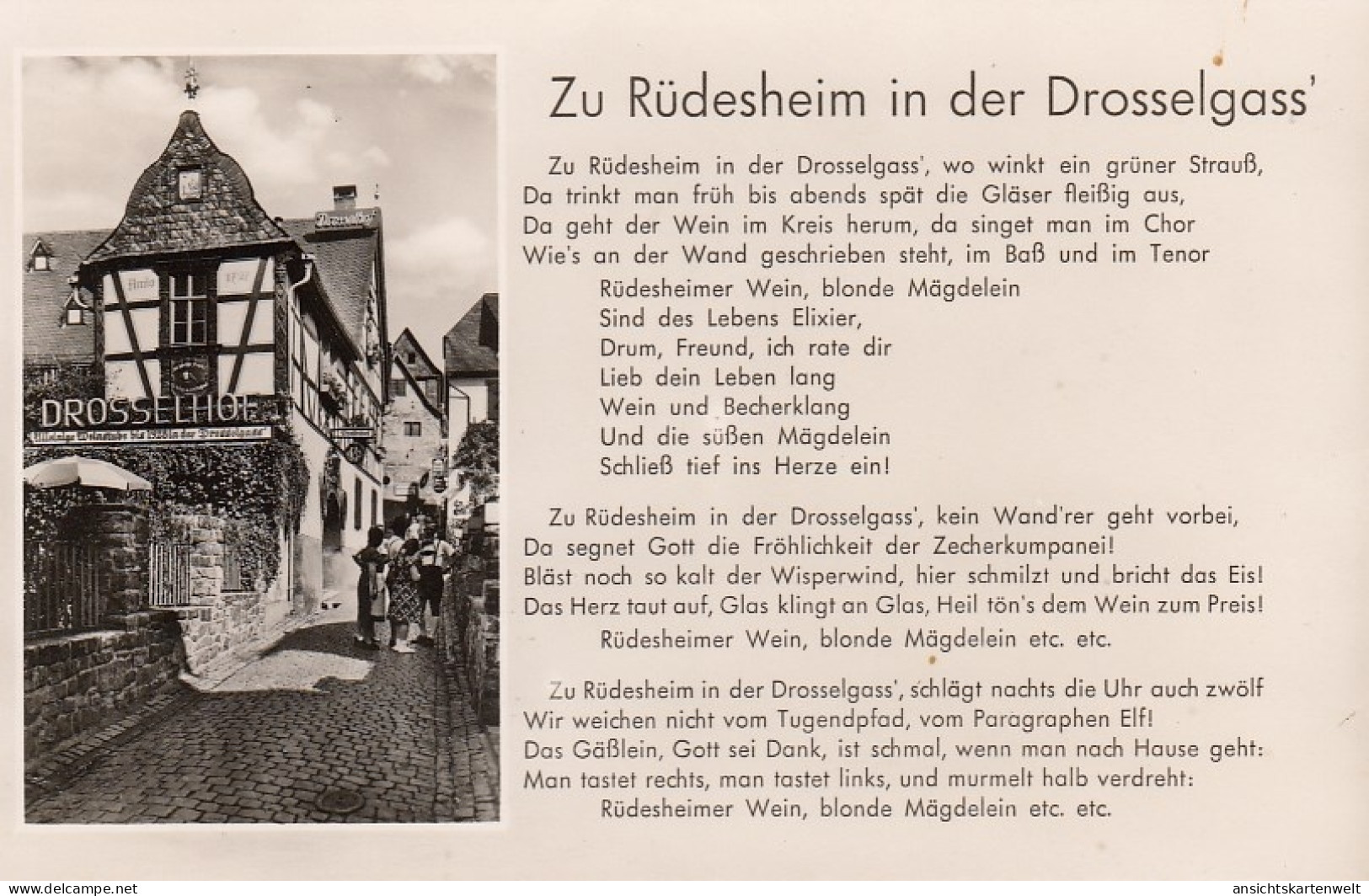 Zu Rüdesheim In Der Drosselgass' Liedtext Ngl #E0518 - Music And Musicians