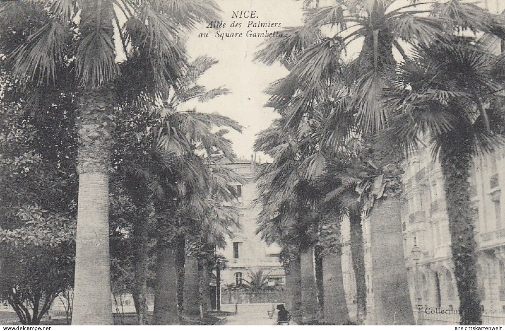 Nice, Allée Des Palmiers Au Sqzare Gambetta Gl1913 #E0455 - Parcs Et Jardins