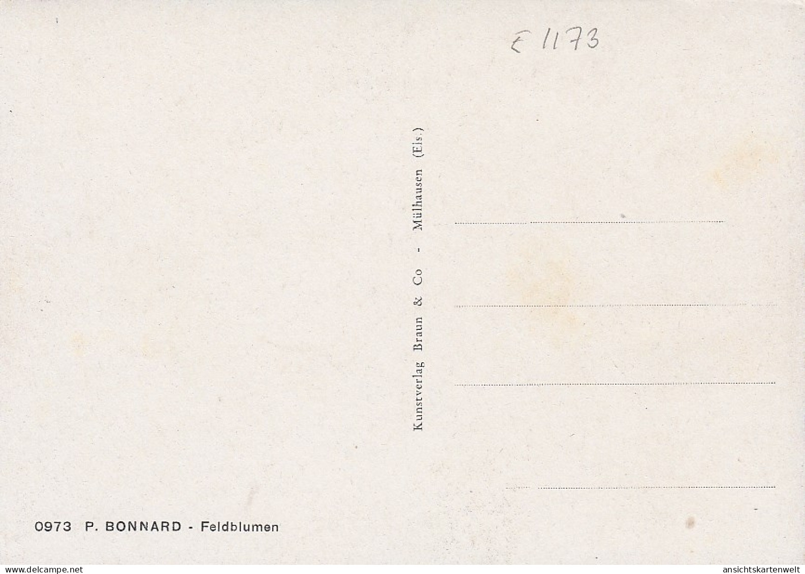 B.BONNARD Feldblumen Ngl #E1173 - Other & Unclassified