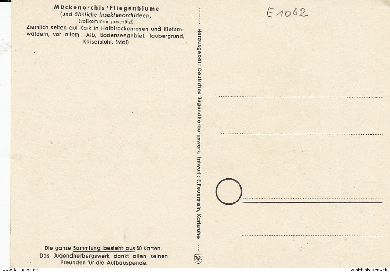 Fliegenblume, Jugenherbergsgroschen Ngl #E1062 - Sonstige & Ohne Zuordnung