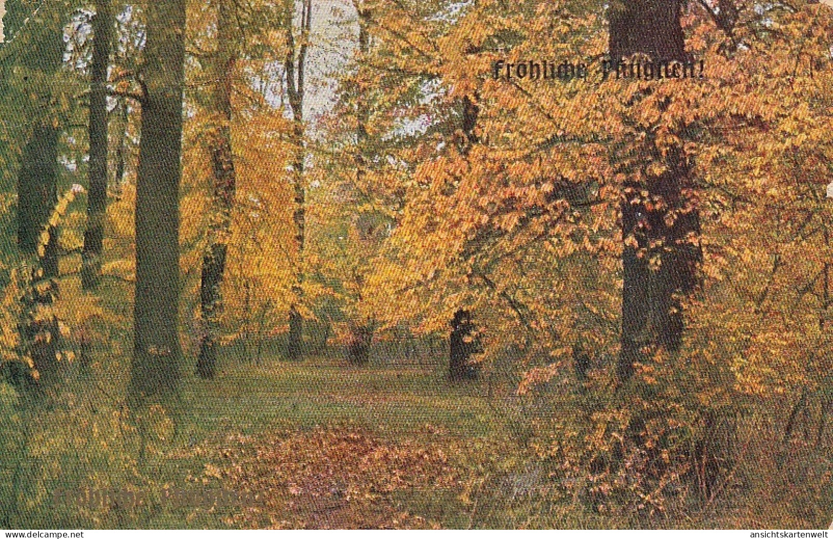 Pfingsten-Wünsche Mit Herbstlichem Wald Gl1910? #E0965 - Pinksteren