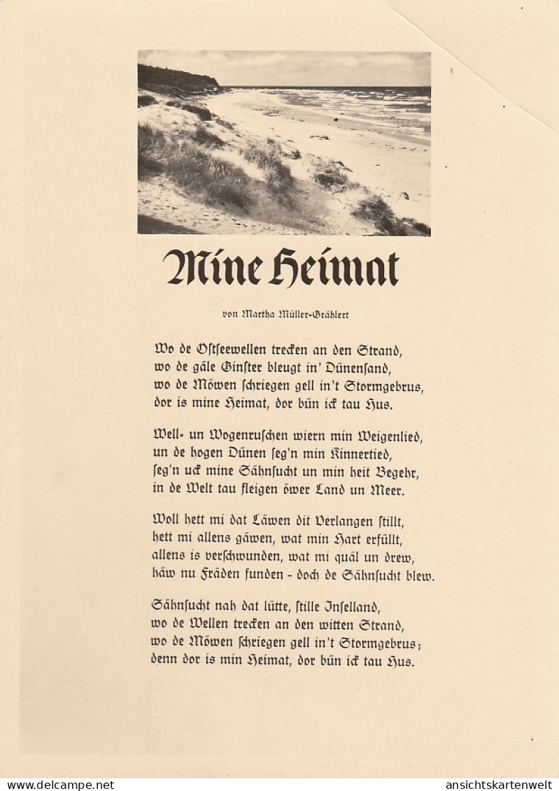 Musik Und Lied: Mine Heimat - Ostseelied Ngl #E2146 - Music And Musicians